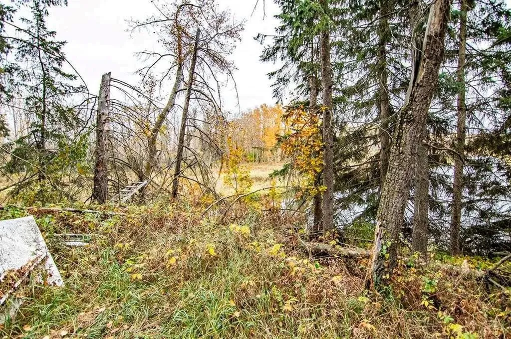 40523 Range Road 14 Rural Lacombe County AB T0C 0J0