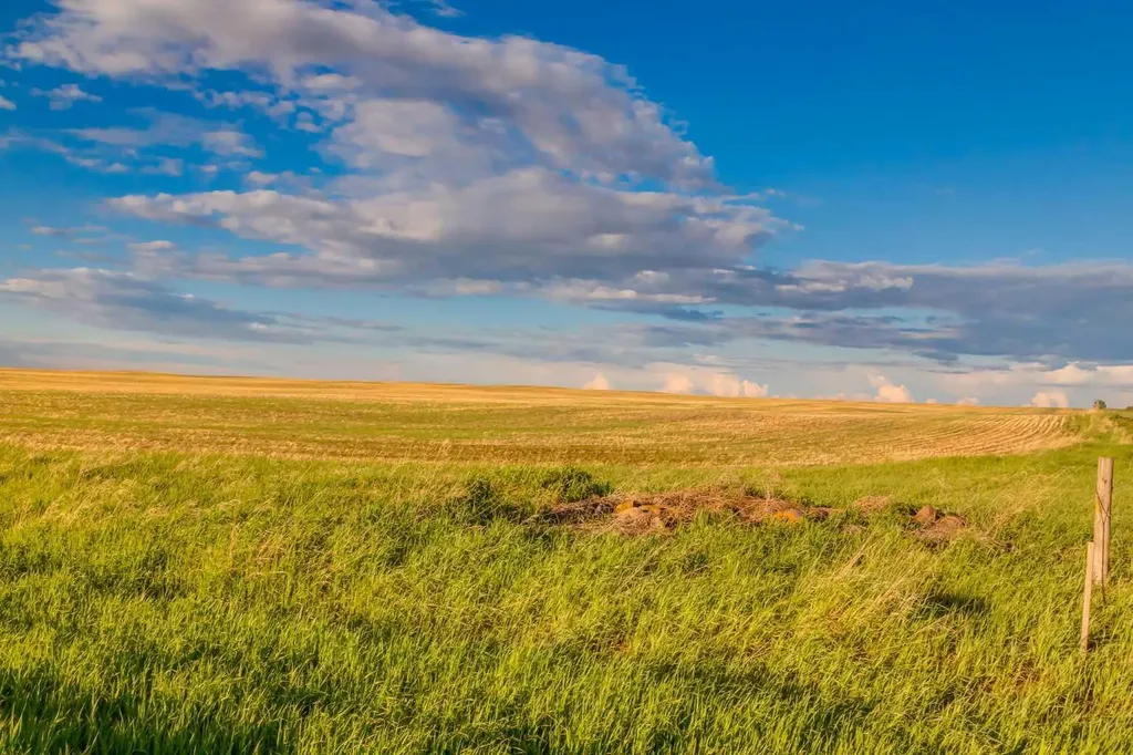 Nw; 14; 22; 27; W4m Rural Rocky View County AB T1X 2B6