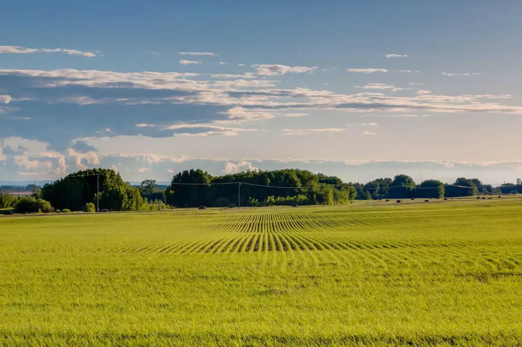 Nw; 14; 22; 27; W4m Rural Rocky View County AB T1X 2B6