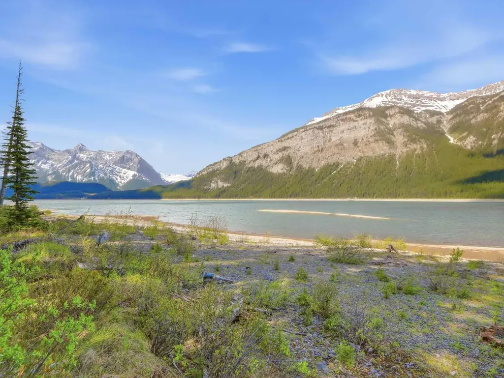 46 Lake Shore Drive Rural Kananaskis Id AB T1W1A1