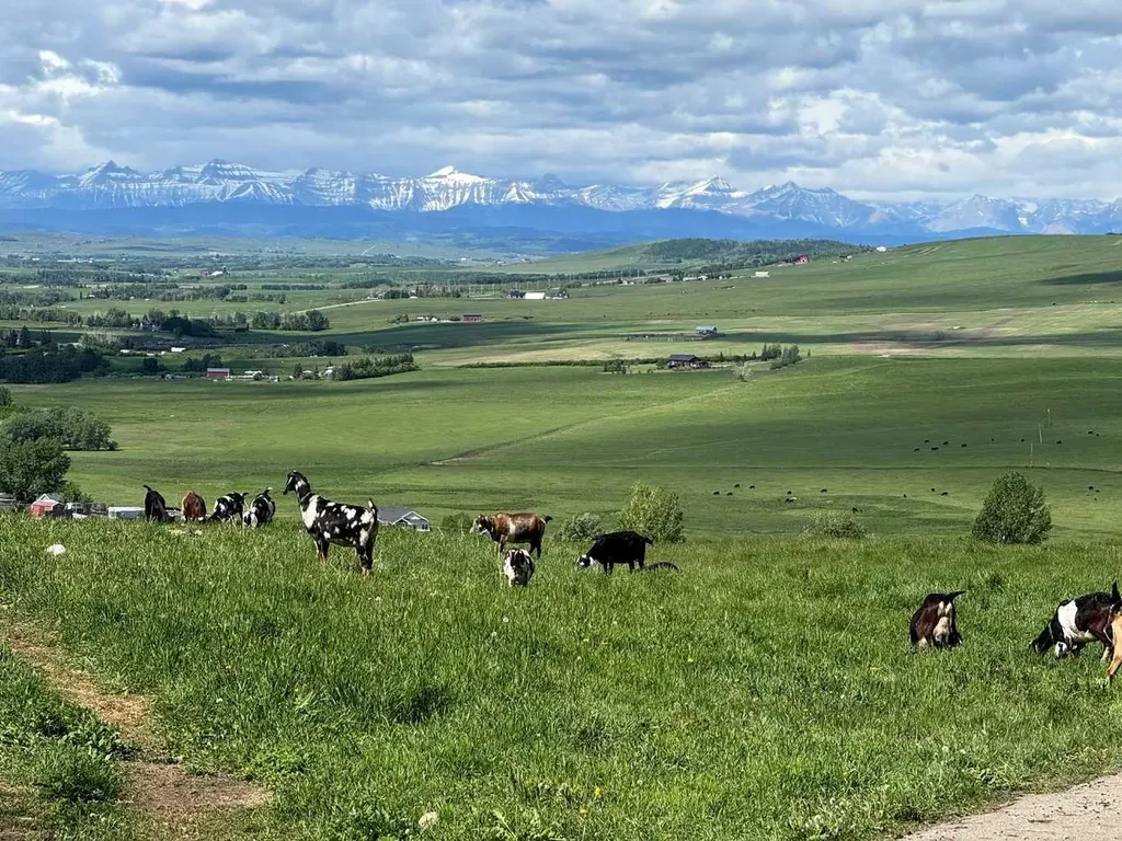 418066 48 Street W Rural Foothills County AB T1S 1A1