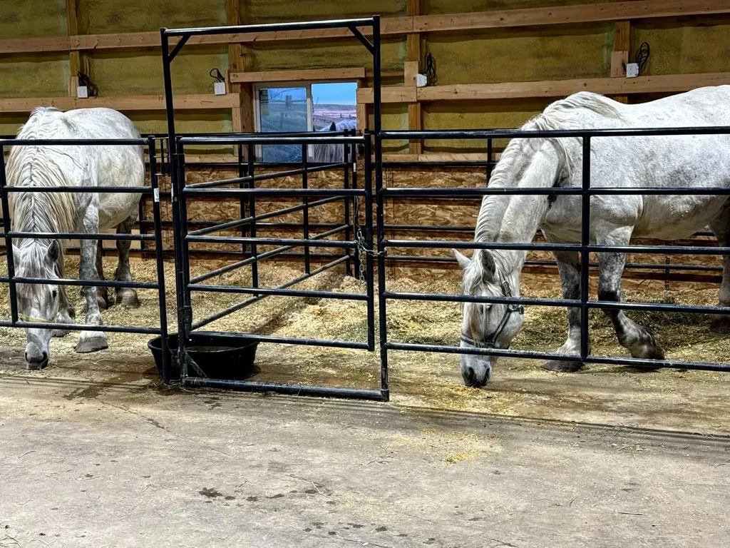 418066 48 Street W Rural Foothills County AB T1S 1A1