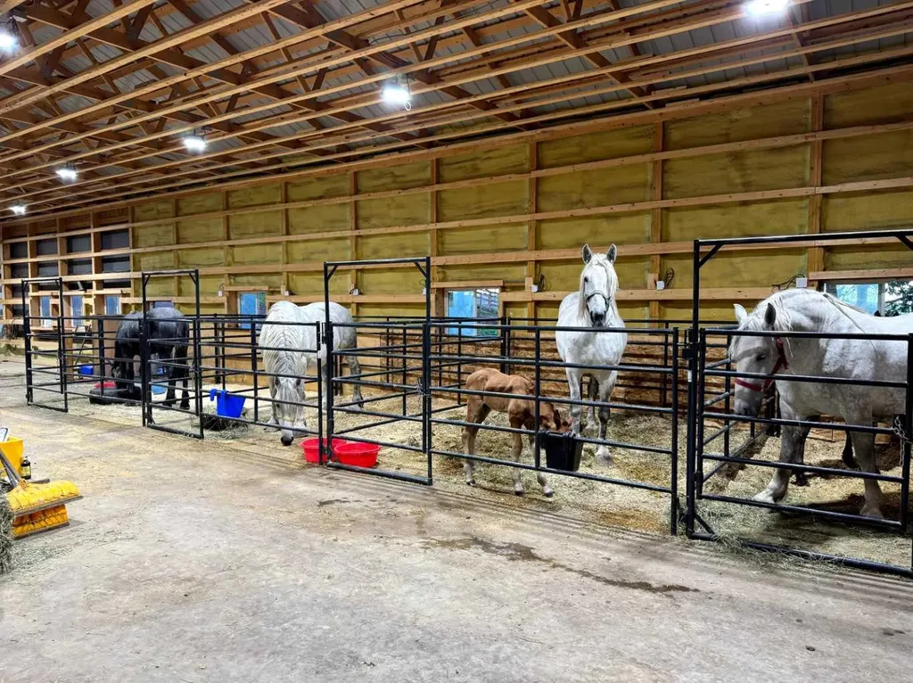 418066 48 Street W Rural Foothills County AB T1S 1A1