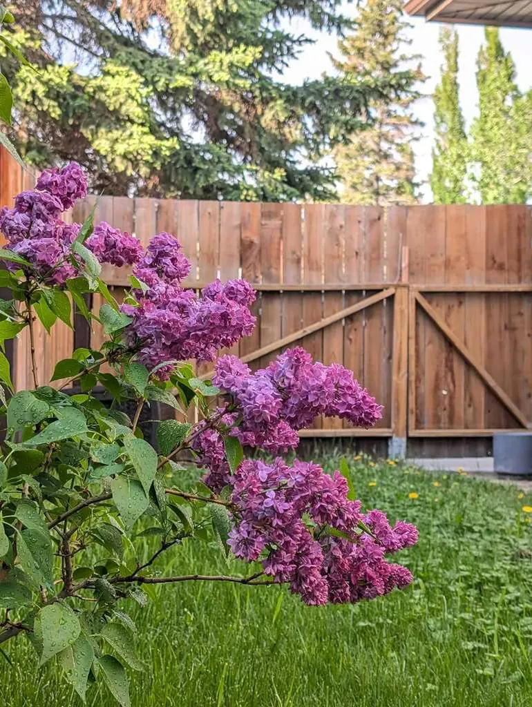 124 Ranchview Court NW Calgary AB T3G 1R5