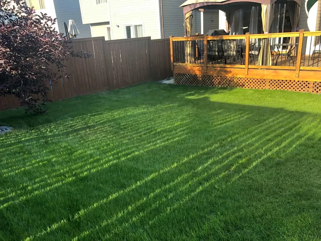 41 Chapman Close SE Calgary AB T2X 3S8