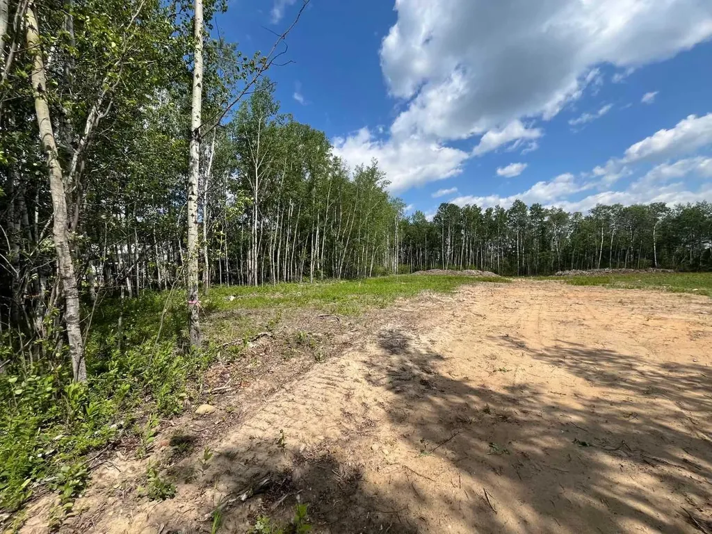 110 Tawatinaw Drive Athabasca AB T9S 1C4