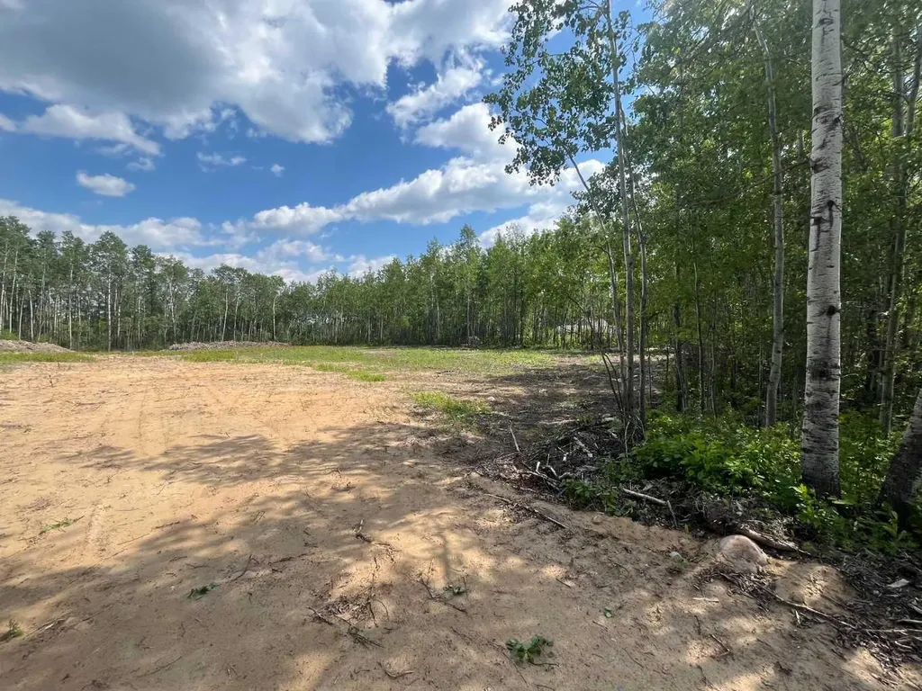 110 Tawatinaw Drive Athabasca AB T9S 1C4