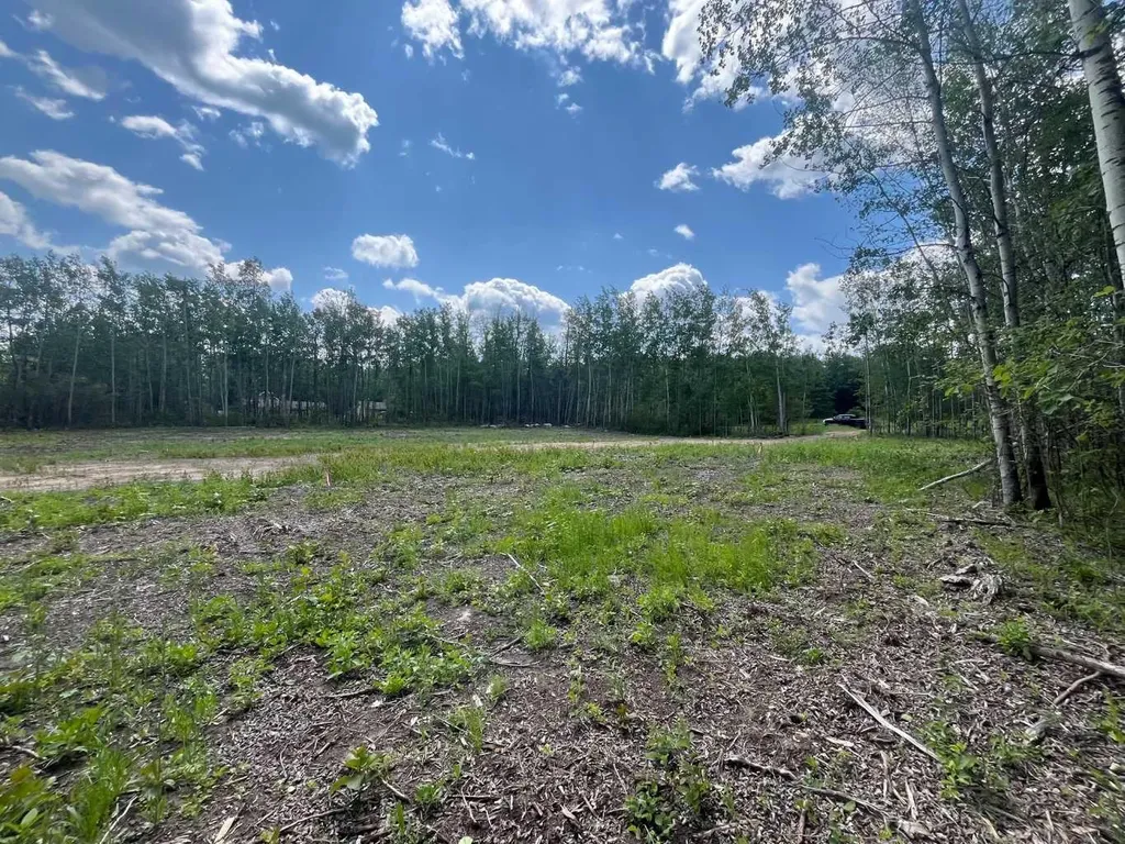 110 Tawatinaw Drive Athabasca AB T9S 1C4