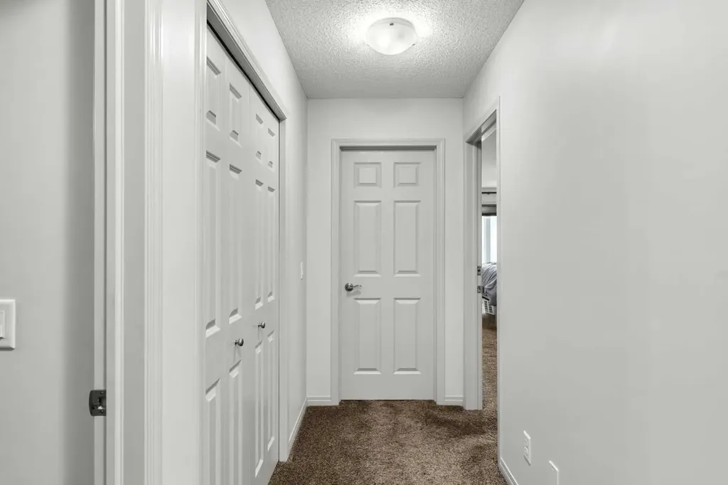 158 Skyview Point Crescent NE Calgary AB T3N 1B6