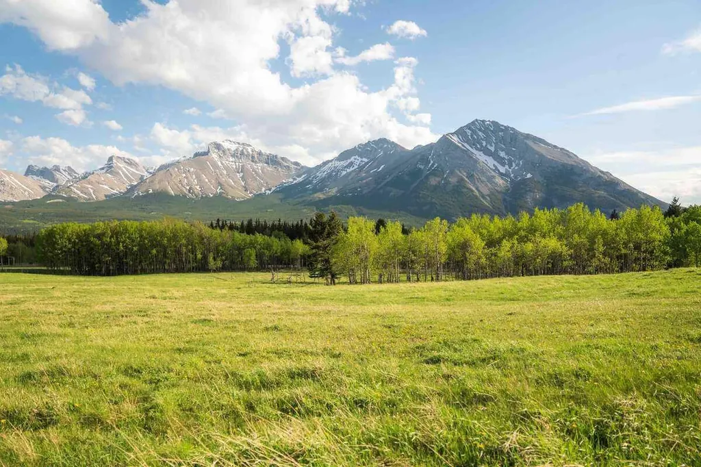3019 Tecumseh Road Rural Crowsnest Pass AB T0K 0M0