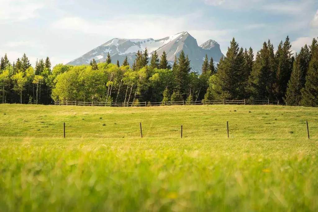 3019 Tecumseh Road Rural Crowsnest Pass AB T0K 0M0