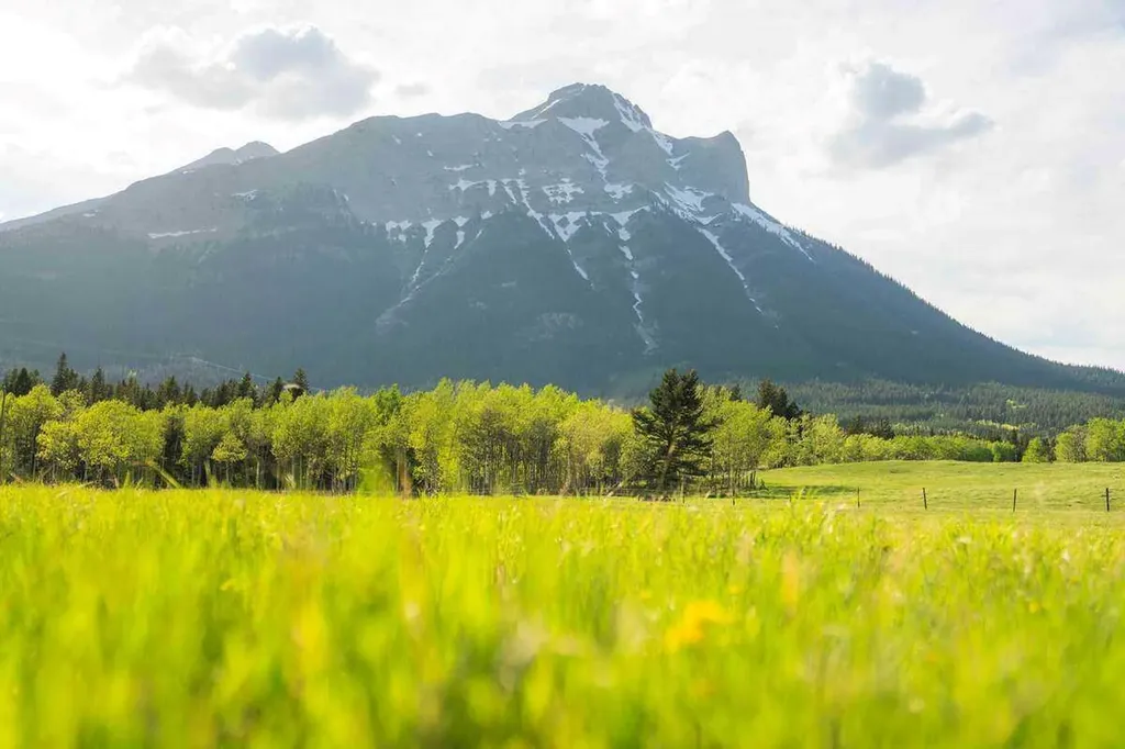 3019 Tecumseh Road Rural Crowsnest Pass AB T0K 0M0