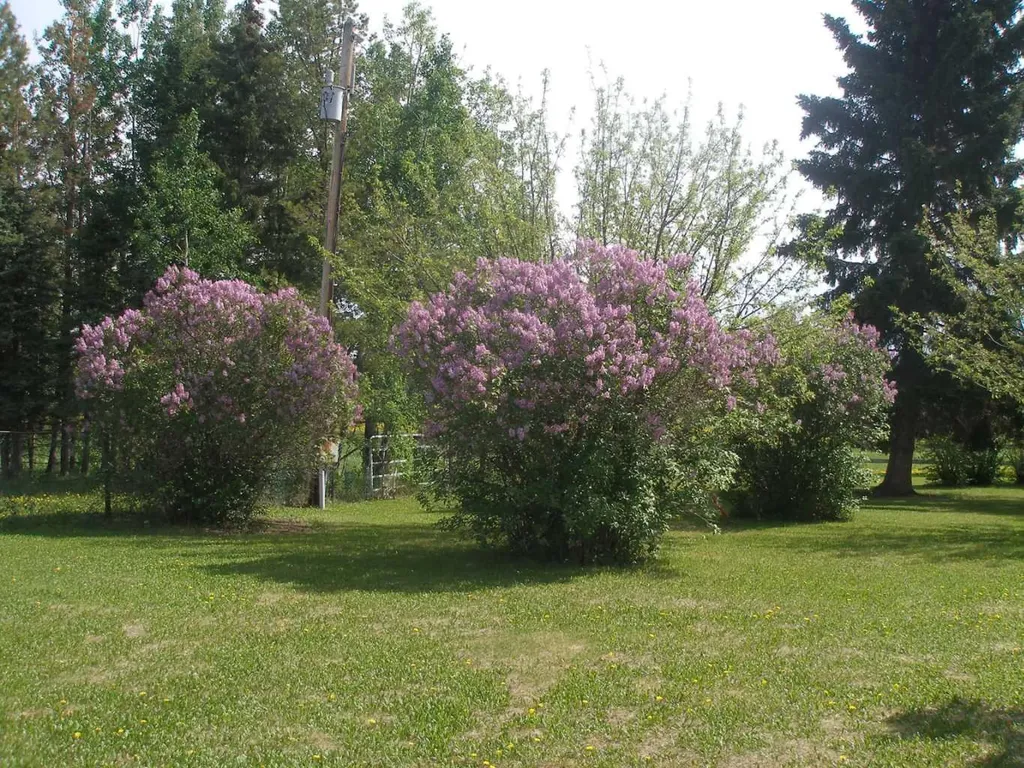 31011 Township Road 420 Rural Ponoka County AB T0C 2J0