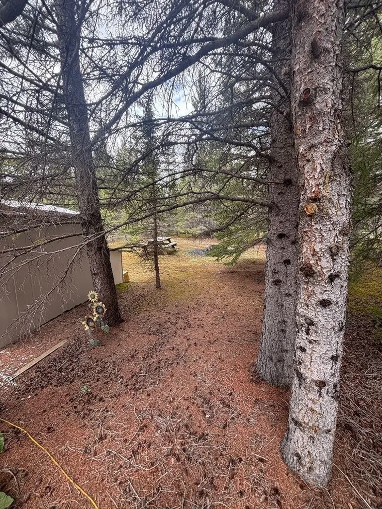 32351 Range Road 55 Rural Mountain View County AB T0M 1X0