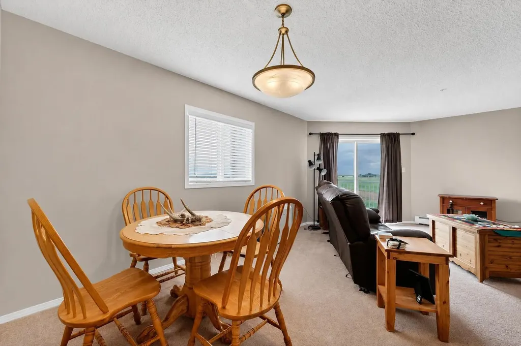 204 17 Street E Brooks AB T1R 1R1