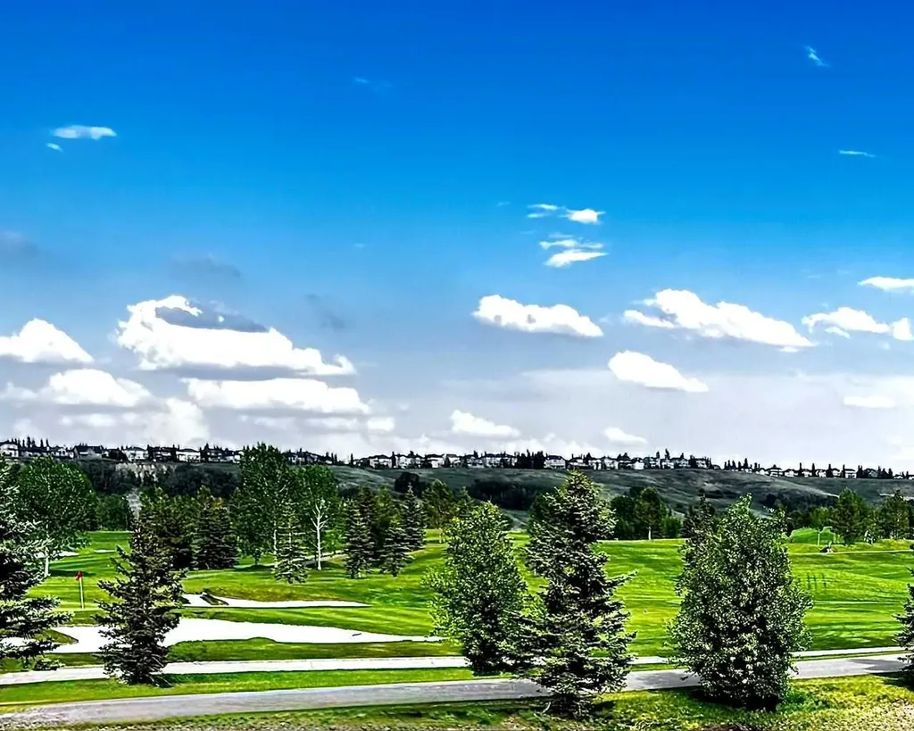 41 Chaparral Valley Green SE Calgary AB T2X0M3