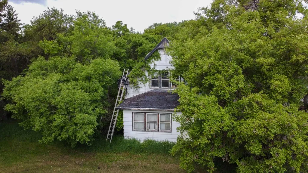 440048 Highway 894 Rural Wainwright No. 61 M.d. Of AB T0B1K0