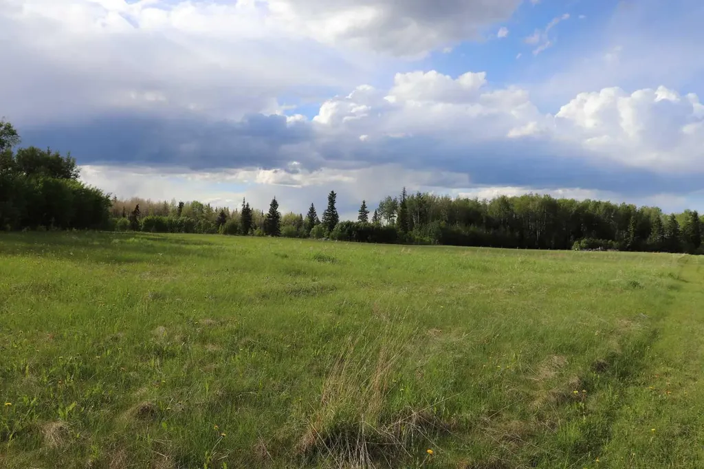 11117 Township Road 534 Rural Yellowhead County AB T7E 5A6