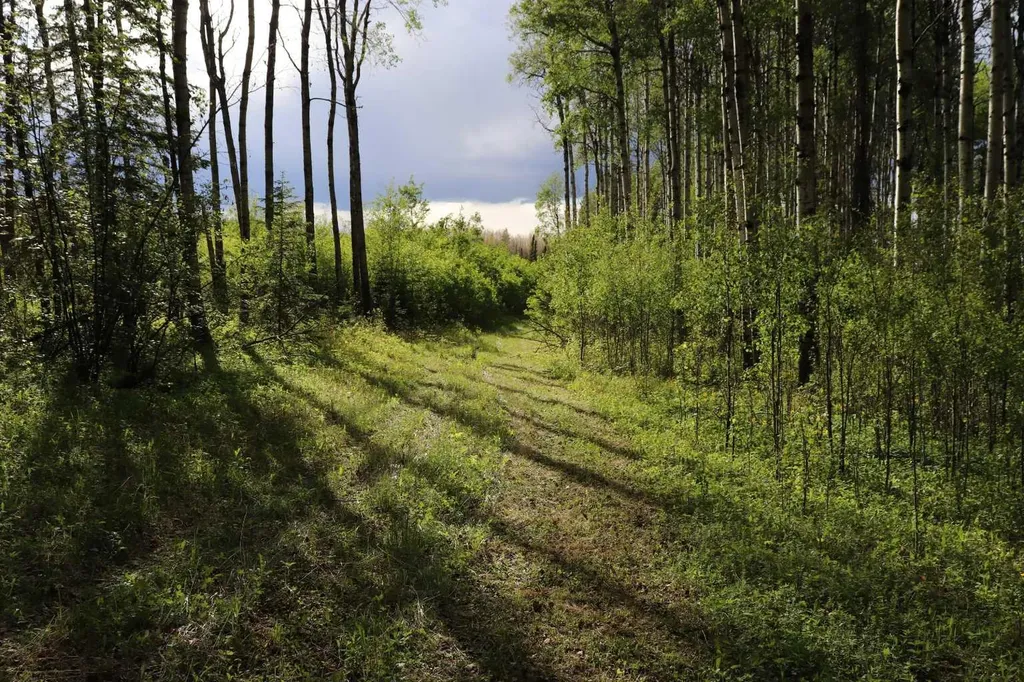11117 Township Road 534 Rural Yellowhead County AB T7E 5A6