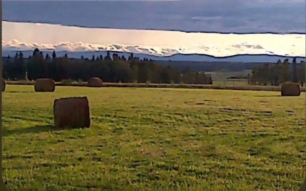 390039 Range Road 54 Rural Clearwater County AB T0M0C0