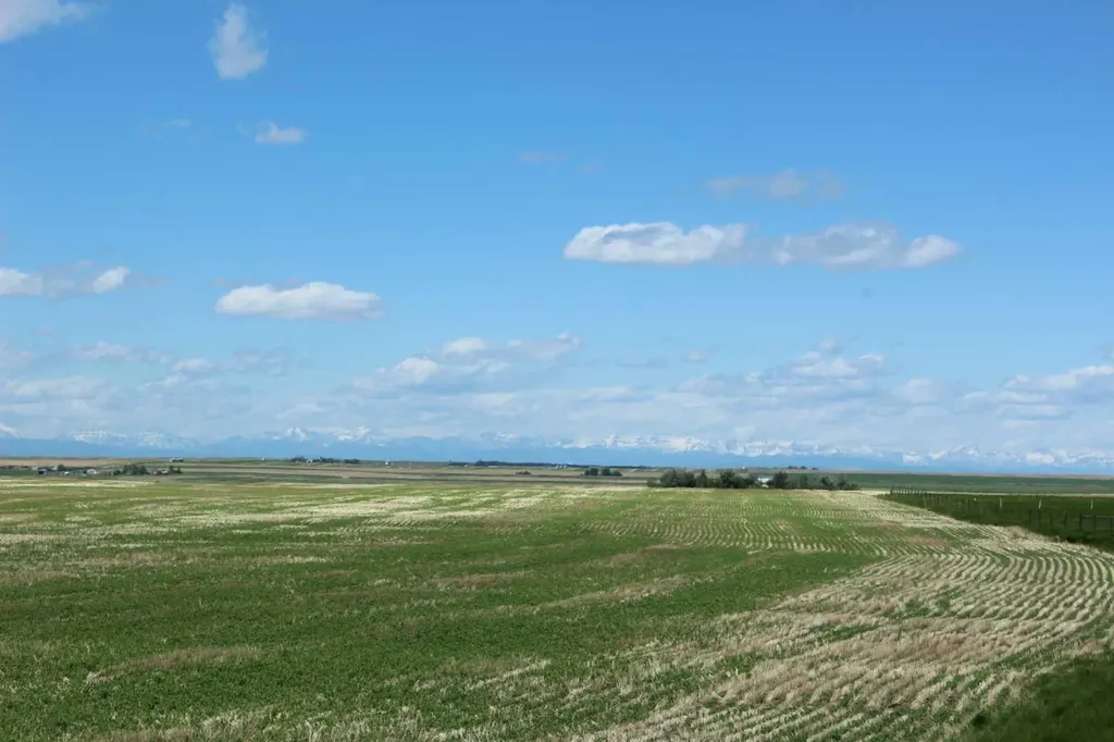 Rr 262 Rural Vulcan County AB T0L0L0
