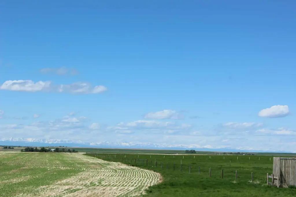 Rr 262 Rural Vulcan County AB T0L0L0