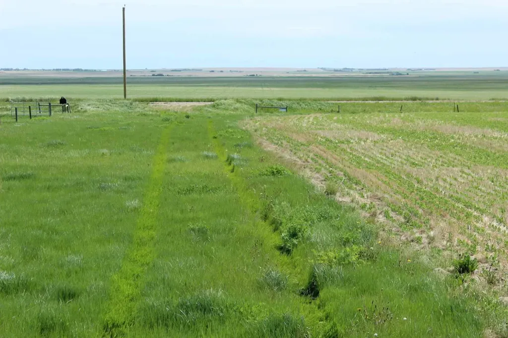 Rr 262 Rural Vulcan County AB T0L0L0