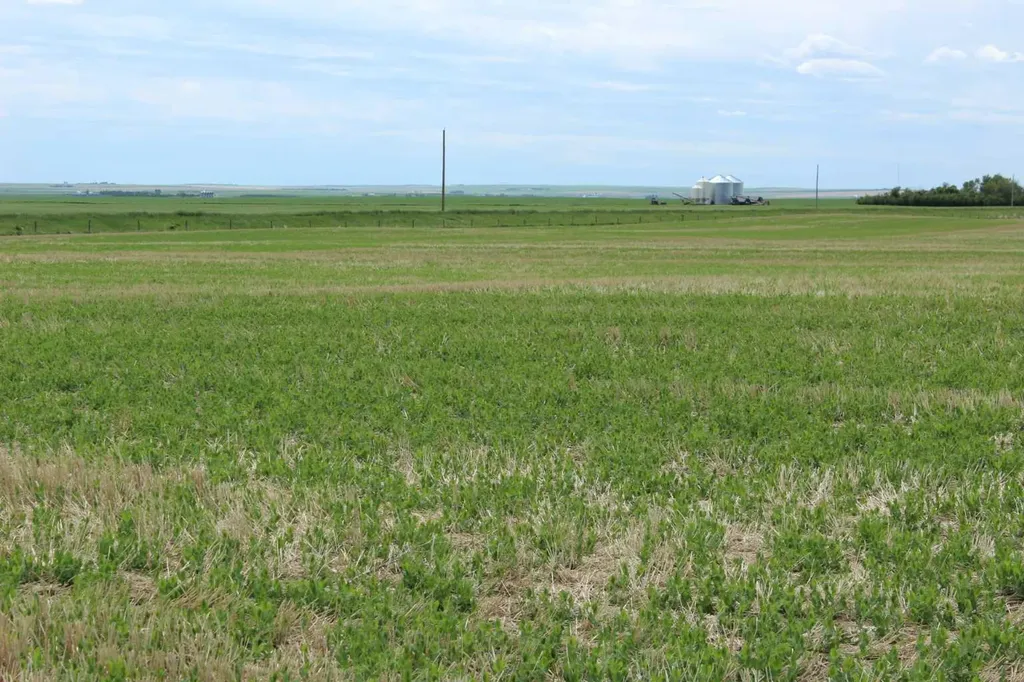 Rr 262 Rural Vulcan County AB T0L0L0