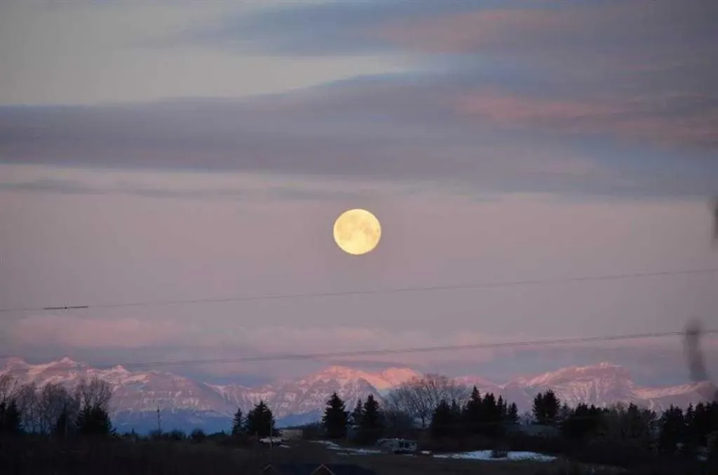76 Rockywood Park NW Calgary AB T3G5S2