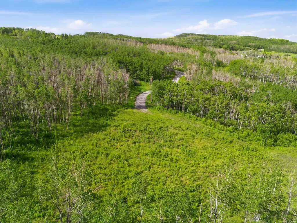 80+ Acres SE - 1 - 19 - 2 - W5 Rural Foothills County AB T0L 1H0