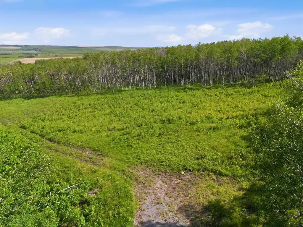 80+ Acres SE - 1 - 19 - 2 - W5 Rural Foothills County AB T0L 1H0