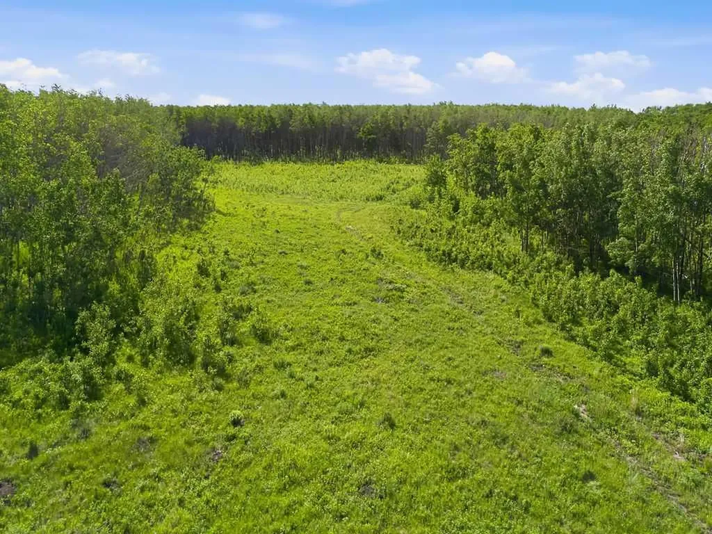 80+ Acres SE - 1 - 19 - 2 - W5 Rural Foothills County AB T0L 1H0