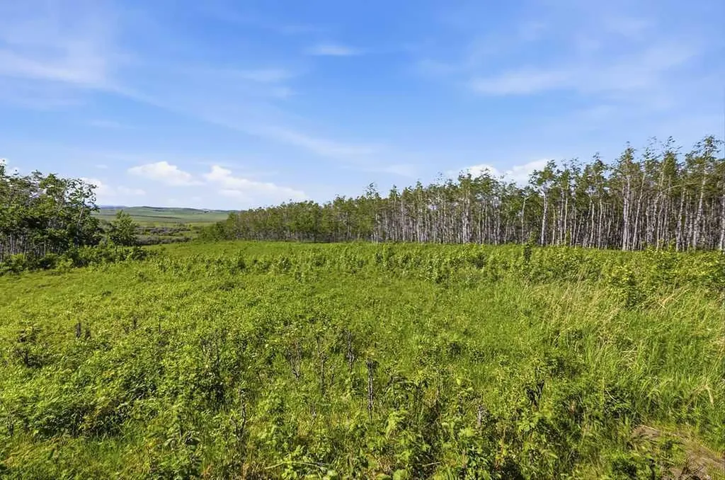 80+ Acres SE - 1 - 19 - 2 - W5 Rural Foothills County AB T0L 1H0