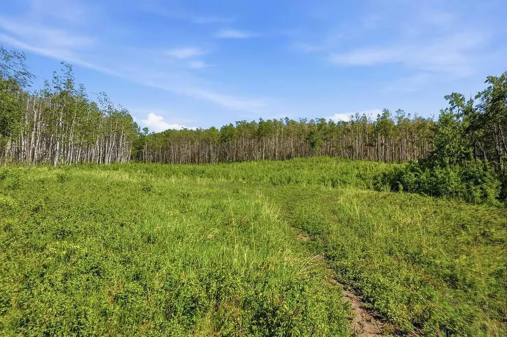 80+ Acres SE - 1 - 19 - 2 - W5 Rural Foothills County AB T0L 1H0