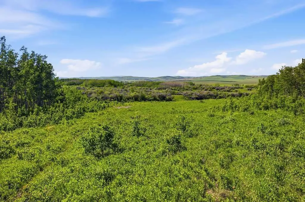 80+ Acres SE - 1 - 19 - 2 - W5 Rural Foothills County AB T0L 1H0