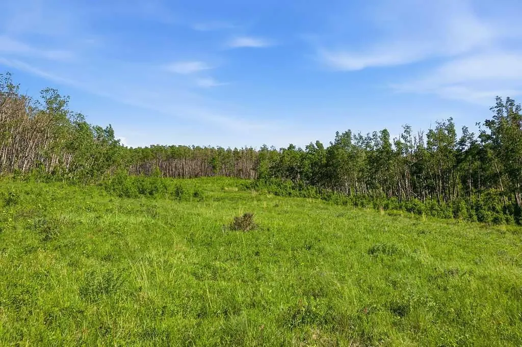 80+ Acres SE - 1 - 19 - 2 - W5 Rural Foothills County AB T0L 1H0