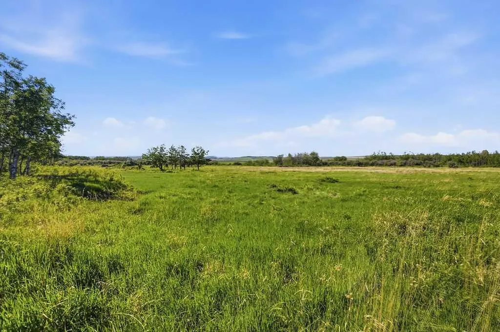 80+ Acres SE - 1 - 19 - 2 - W5 Rural Foothills County AB T0L 1H0