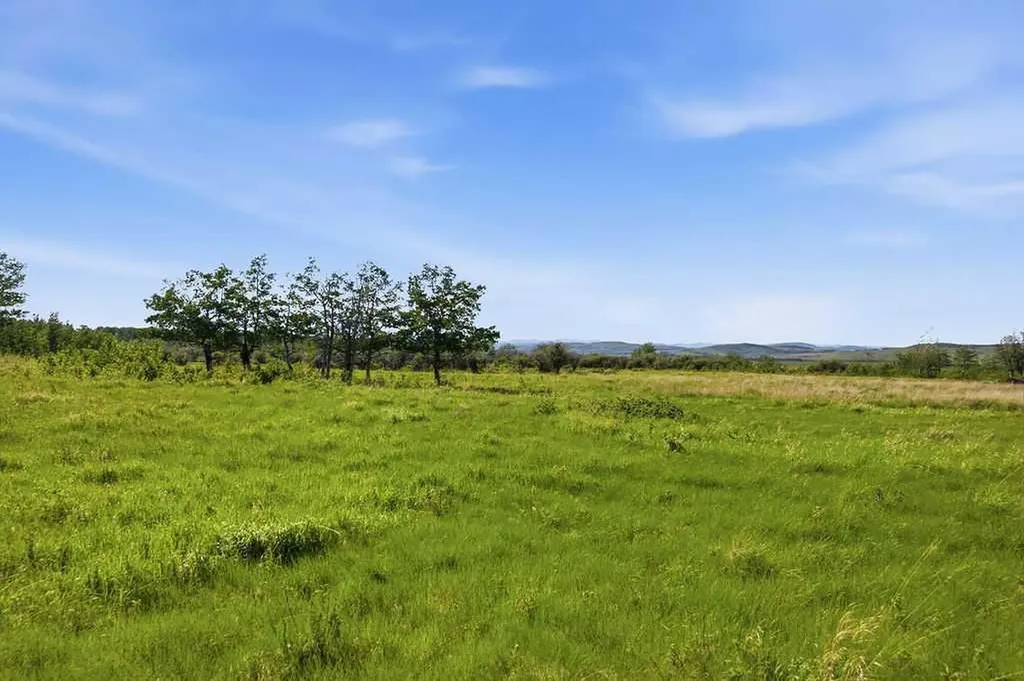 80+ Acres SE - 1 - 19 - 2 - W5 Rural Foothills County AB T0L 1H0
