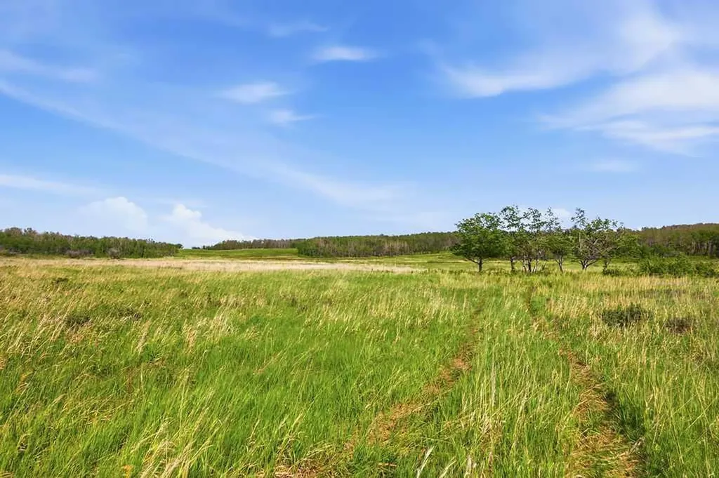 80+ Acres SE - 1 - 19 - 2 - W5 Rural Foothills County AB T0L 1H0