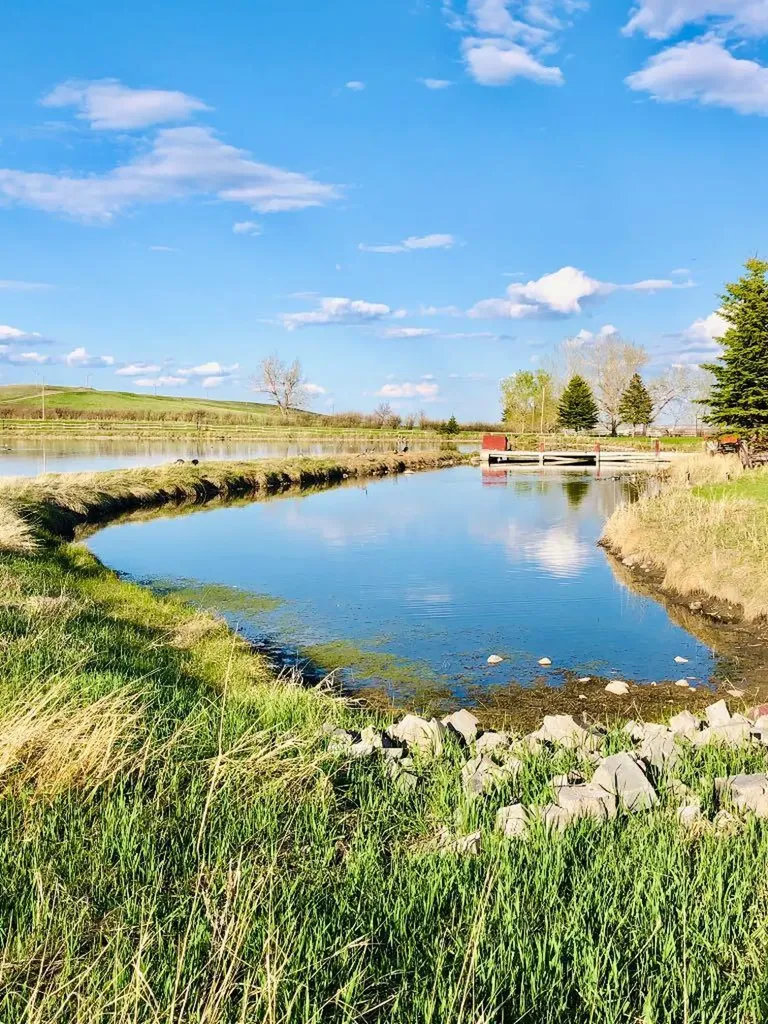 45056 Range Road 275 Hill Spring AB T0K 1E0