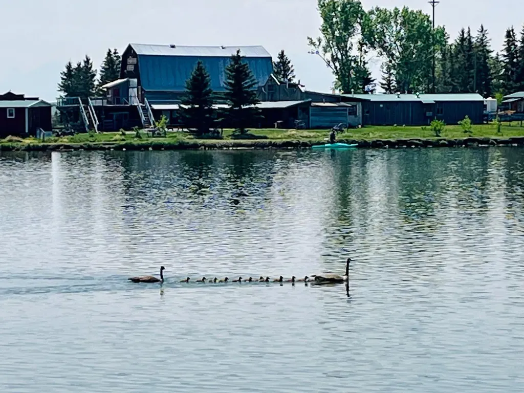 45056 Range Road 275 Hill Spring AB T0K 1E0