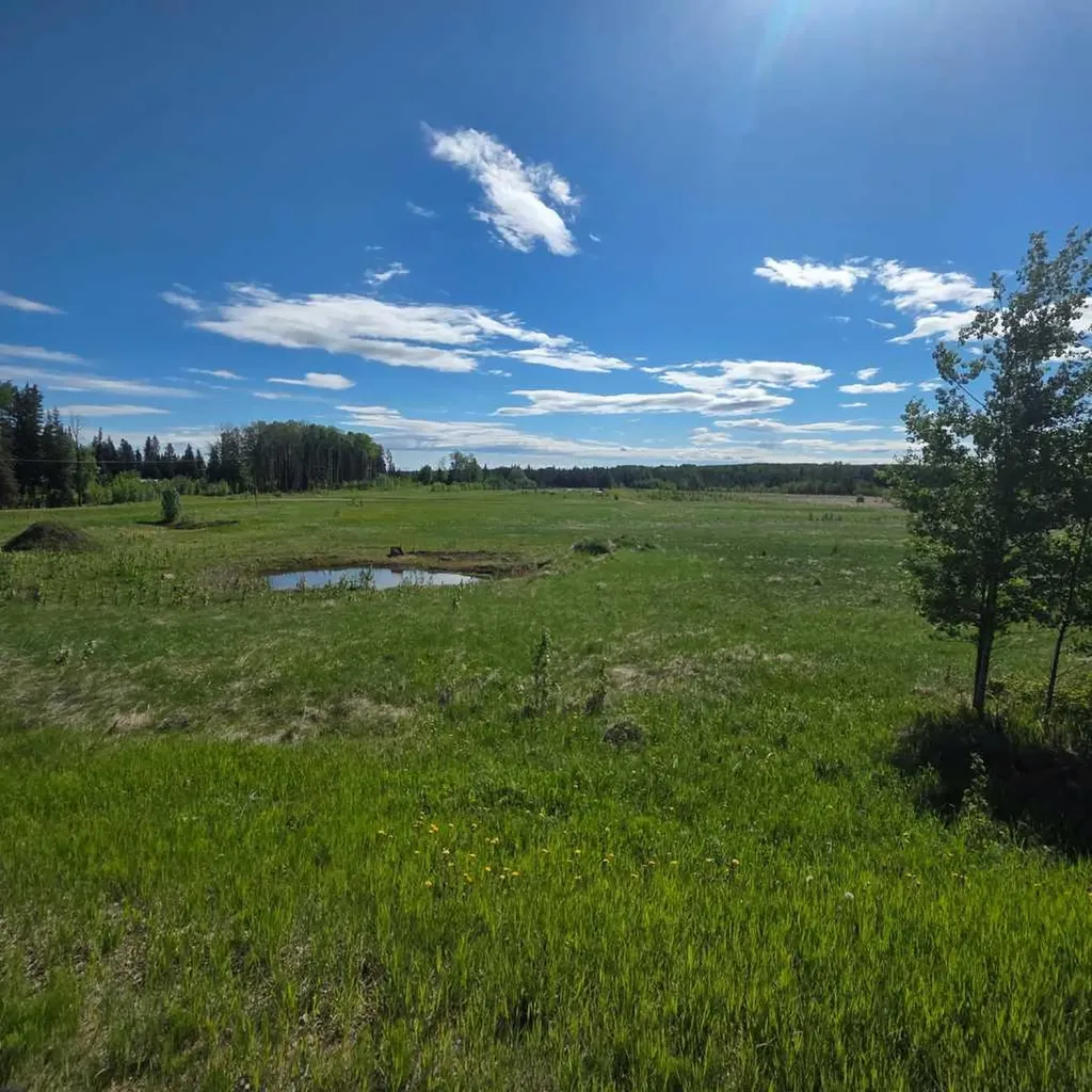 Lot 4 Range Road 175 Rural Yellowhead County AB T7E 3L7