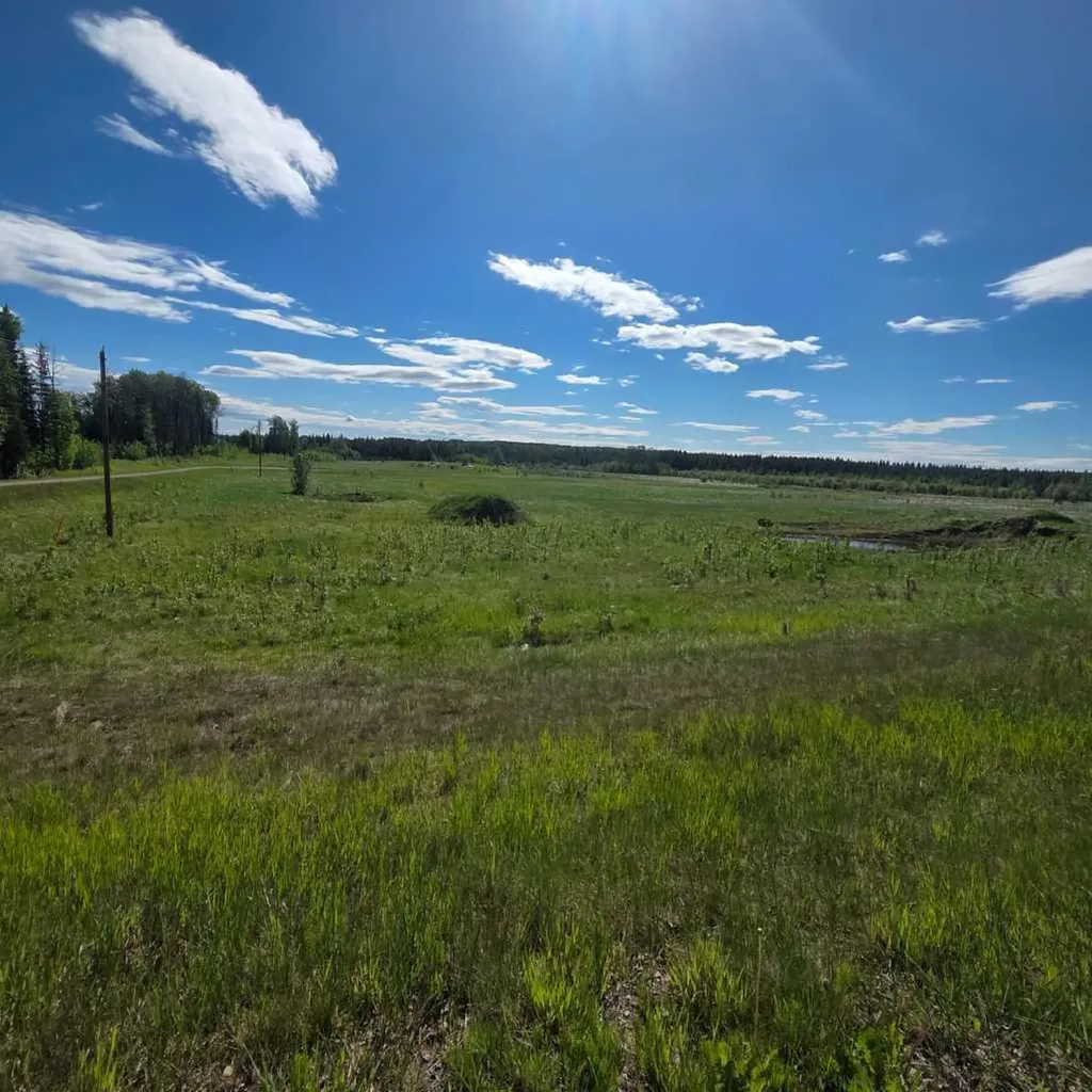 Lot 4 Range Road 175 Rural Yellowhead County AB T7E 3L7
