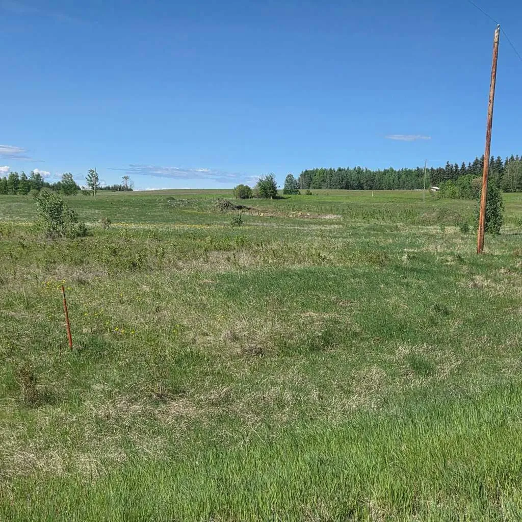 Lot 4 Range Road 175 Rural Yellowhead County AB T7E 3L7