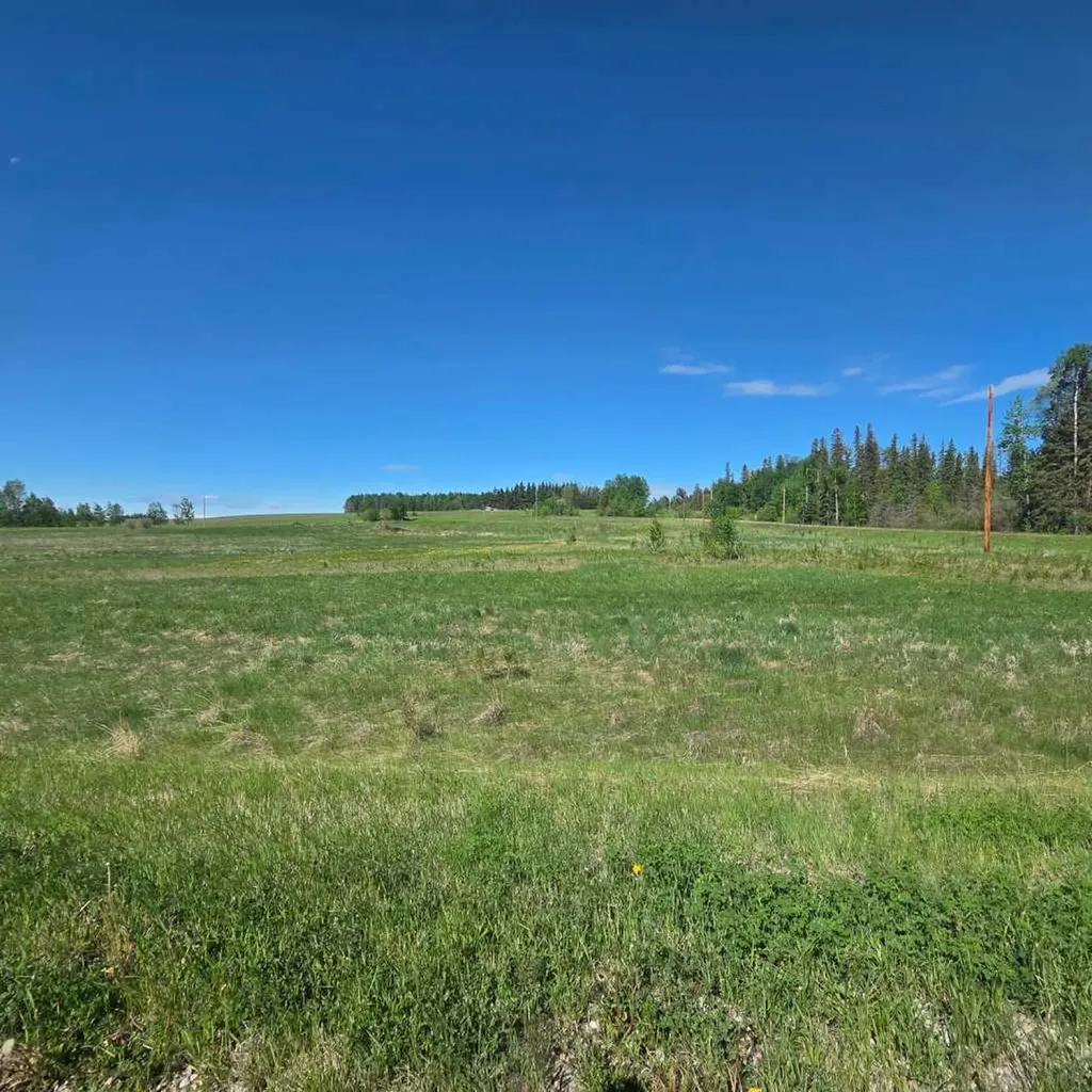 Lot 4 Range Road 175 Rural Yellowhead County AB T7E 3L7