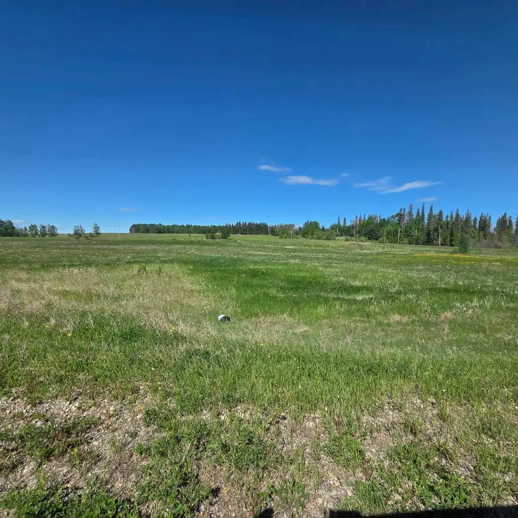 Lot 4 Range Road 175 Rural Yellowhead County AB T7E 3L7