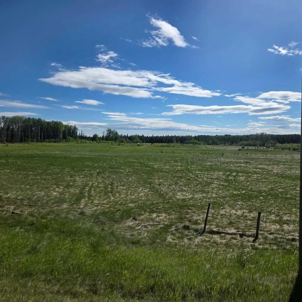 Lot 3 Range Road 175 Rural Yellowhead County AB T7E 3L7
