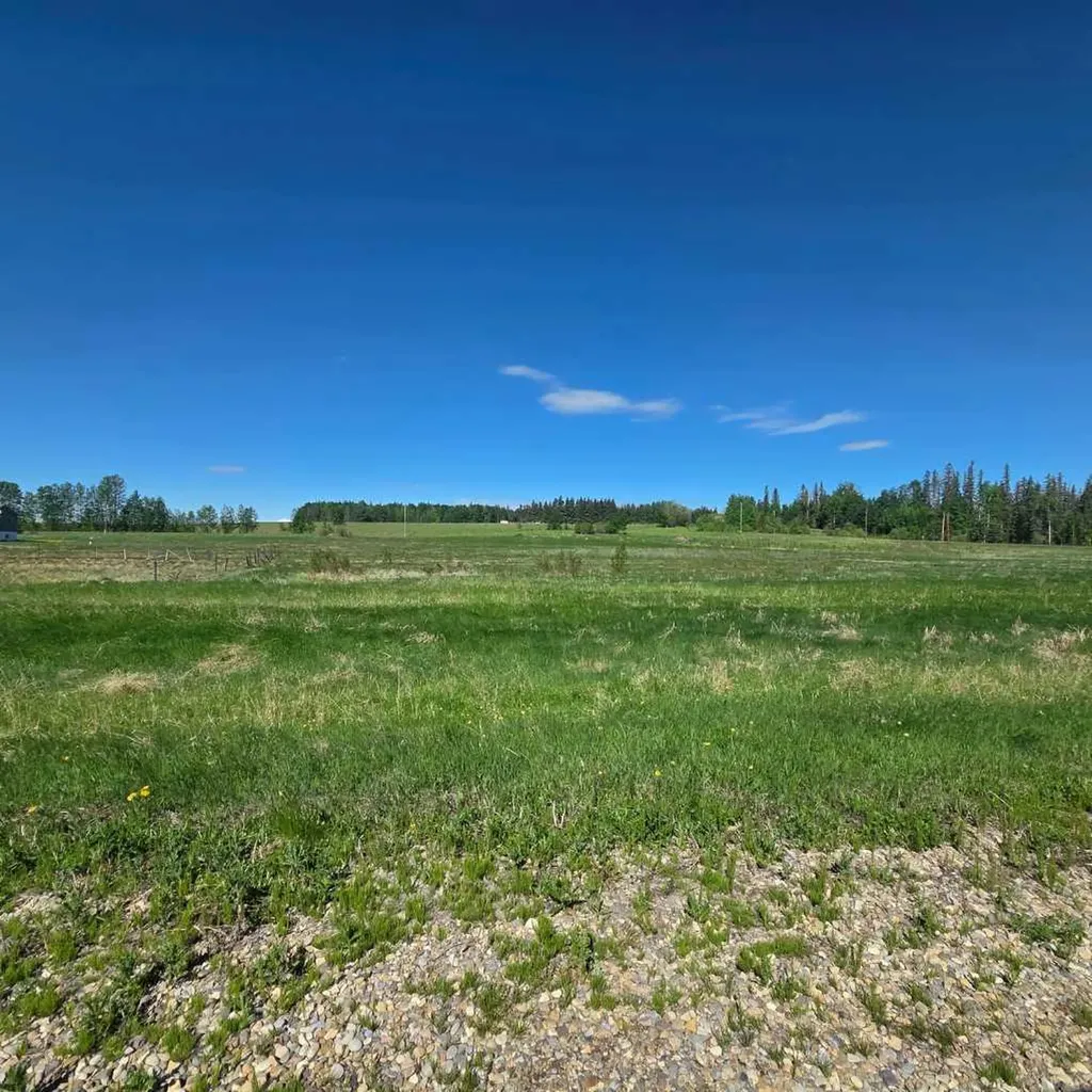 Lot 3 Range Road 175 Rural Yellowhead County AB T7E 3L7