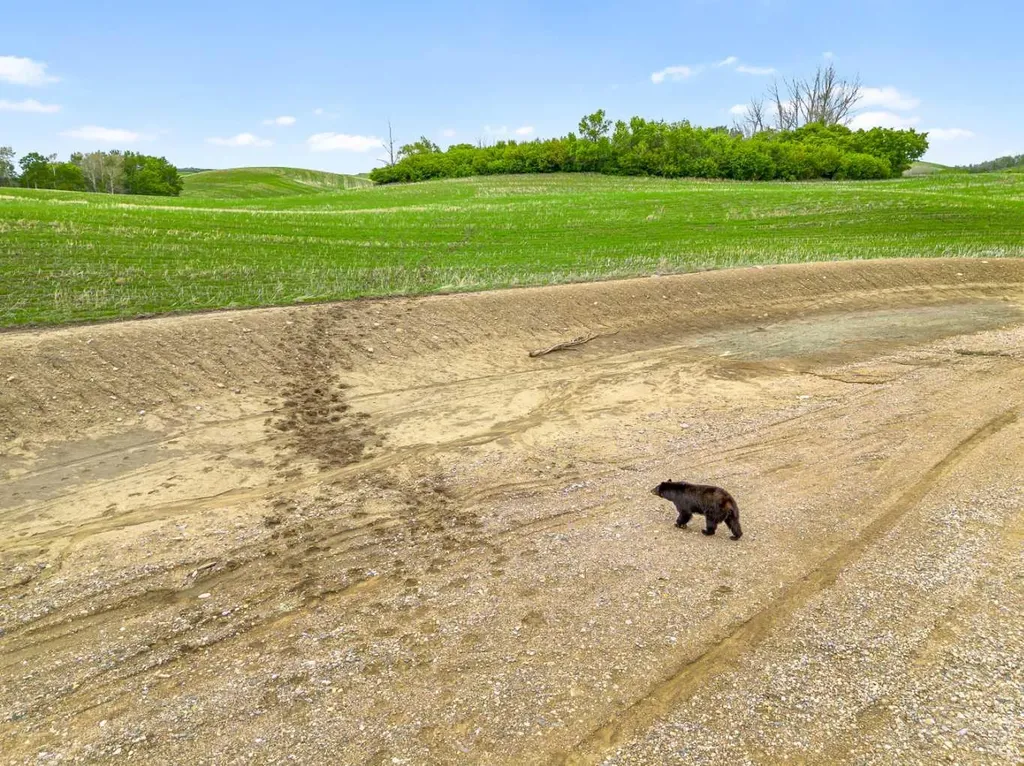 NW 28-50-26 W3 Rural SK T9V 0Y1