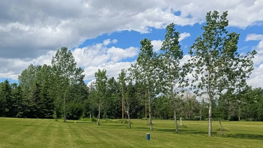 284A Range Road Rural Rocky View County AB T3S 0A6